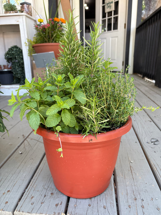 12" Planter Mixed with Herbs
