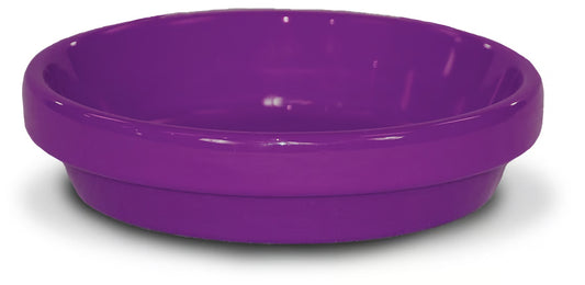 🪴 Ceramo Powder Coated Pot Saucer – Violet (6”)