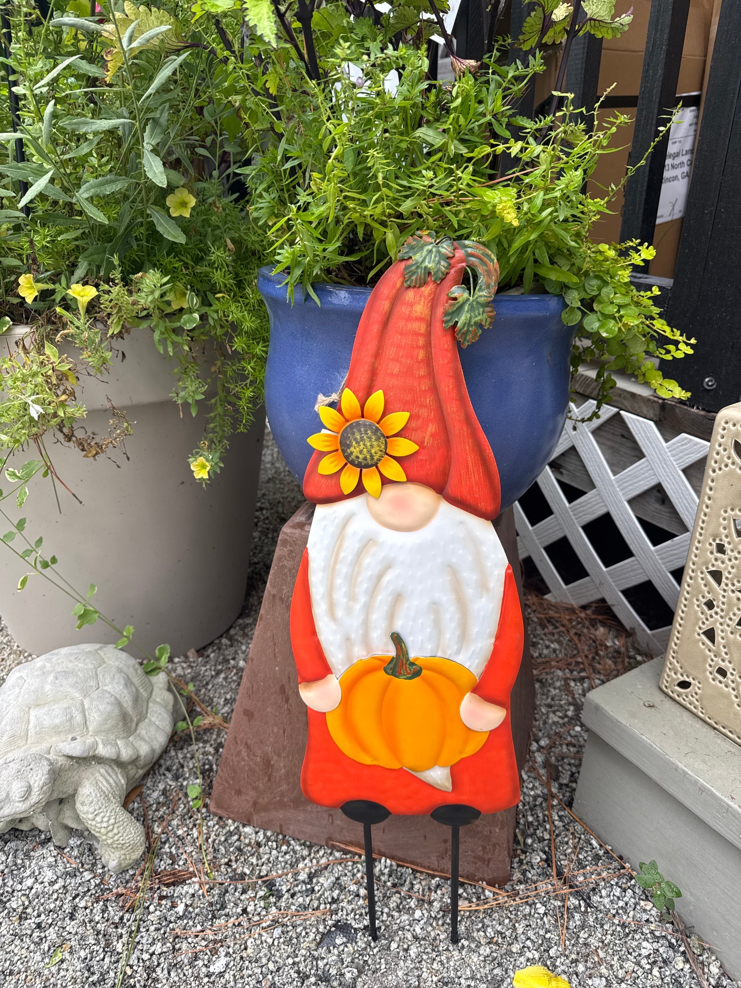 Fall Gnome