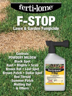 Fertilome 32oz RTS Fungicide And Lawn Spray