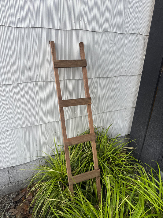 42" Stained Ladder