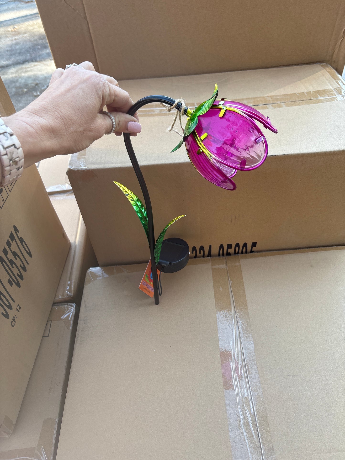 Solar Tulip Lawn Light