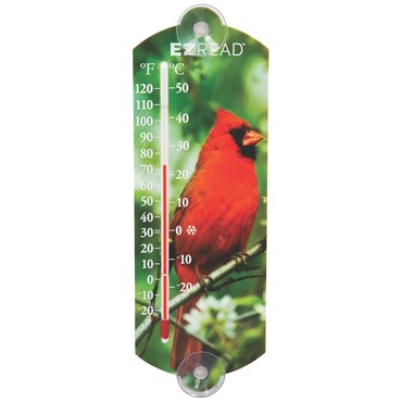 🌡️ Headwind® EZ Read™ Indoor/Outdoor Thermometer – Cardinal (10”)