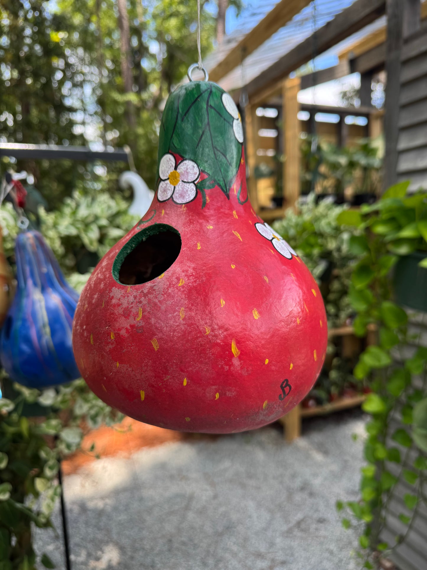 Primitive Pleasures Gourd Bird House