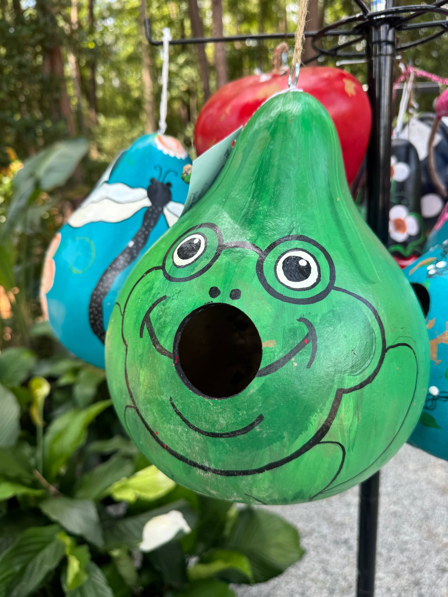 Primitive Pleasures Gourd Bird House