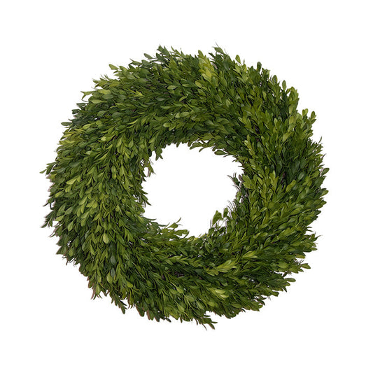Boxwood Wreath Round 24"
