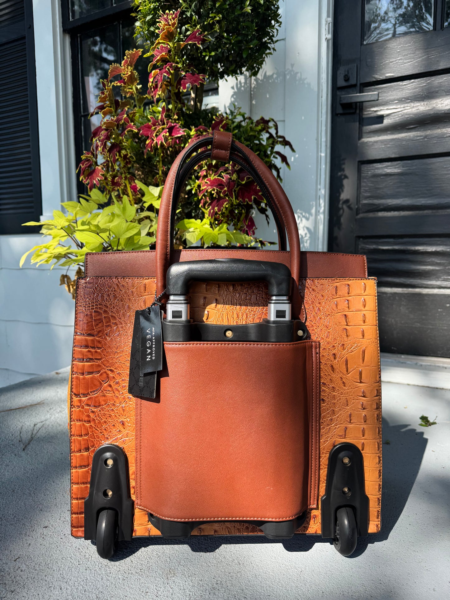 The Savannah Jetsetter