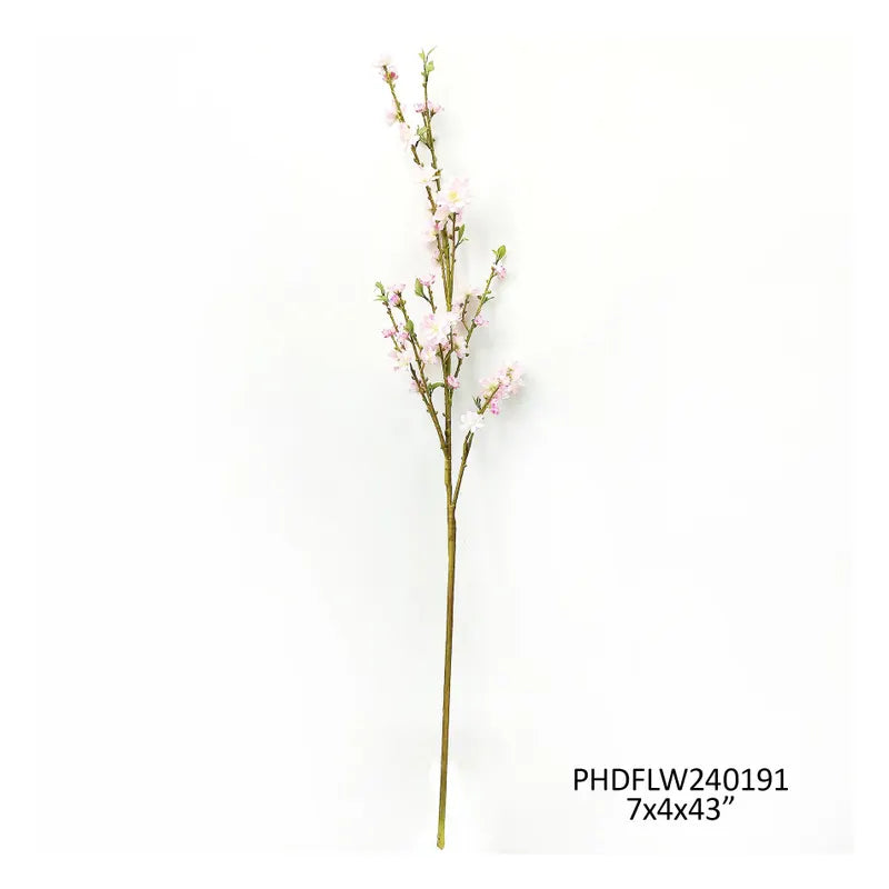 Blooming Cherry Branch