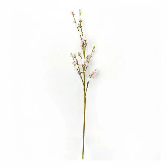 Blooming Cherry Branch