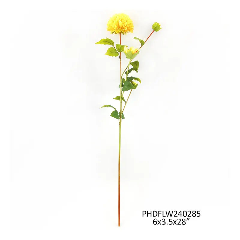 Dahlia Cream