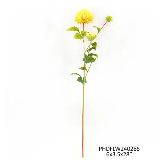 Dahlia Cream