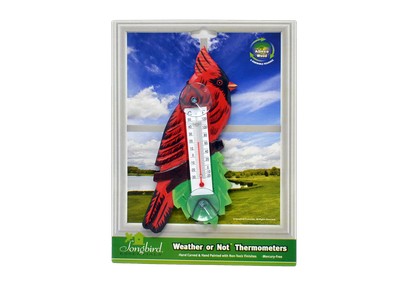 Cardinal on Branch Window Thermometer