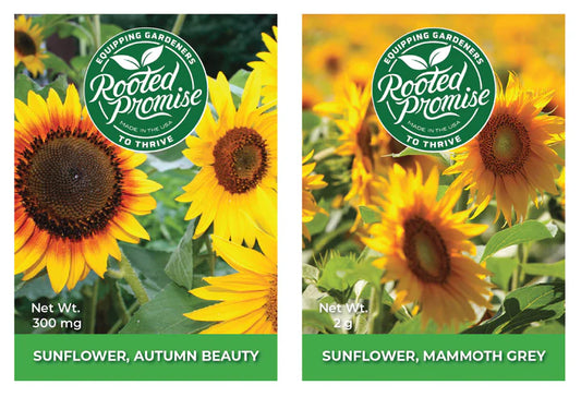 Rooted Promise Sunflower Garden Kit for Kids