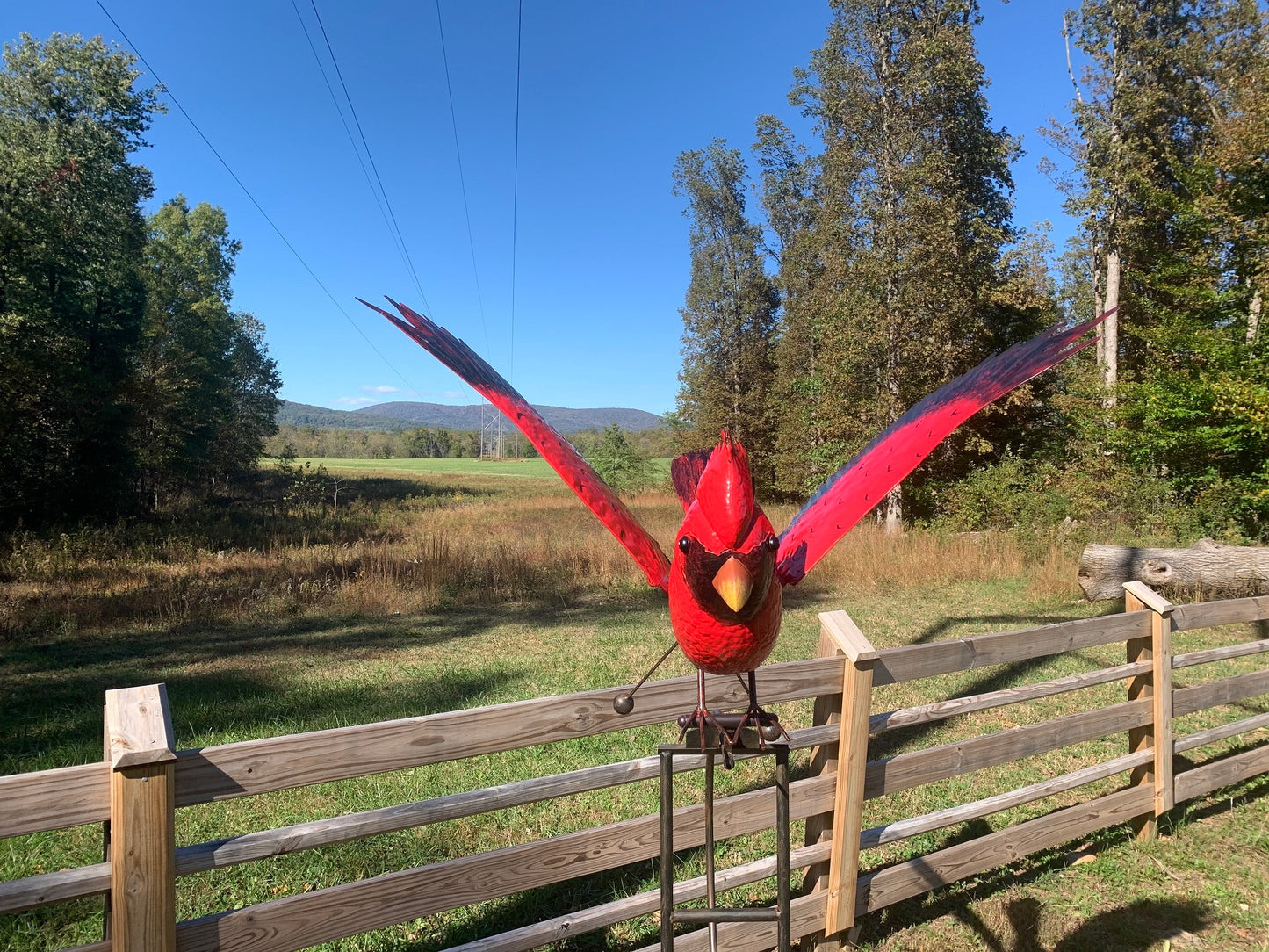 Esschert Metal Cardinal Rocker Stake – Medium Kinetic Garden Bird (54” H)