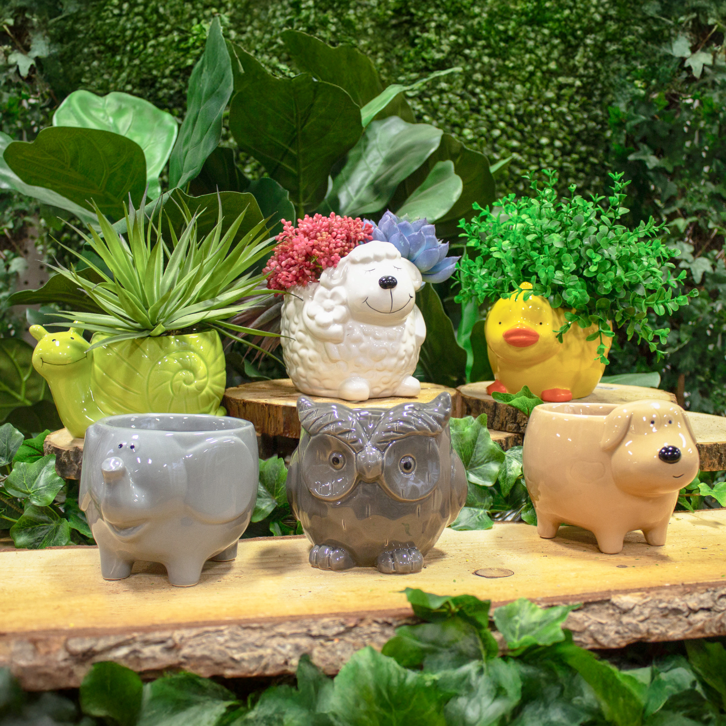 6"L Assorted Animal Pot Planters - Dolomite Ceramic