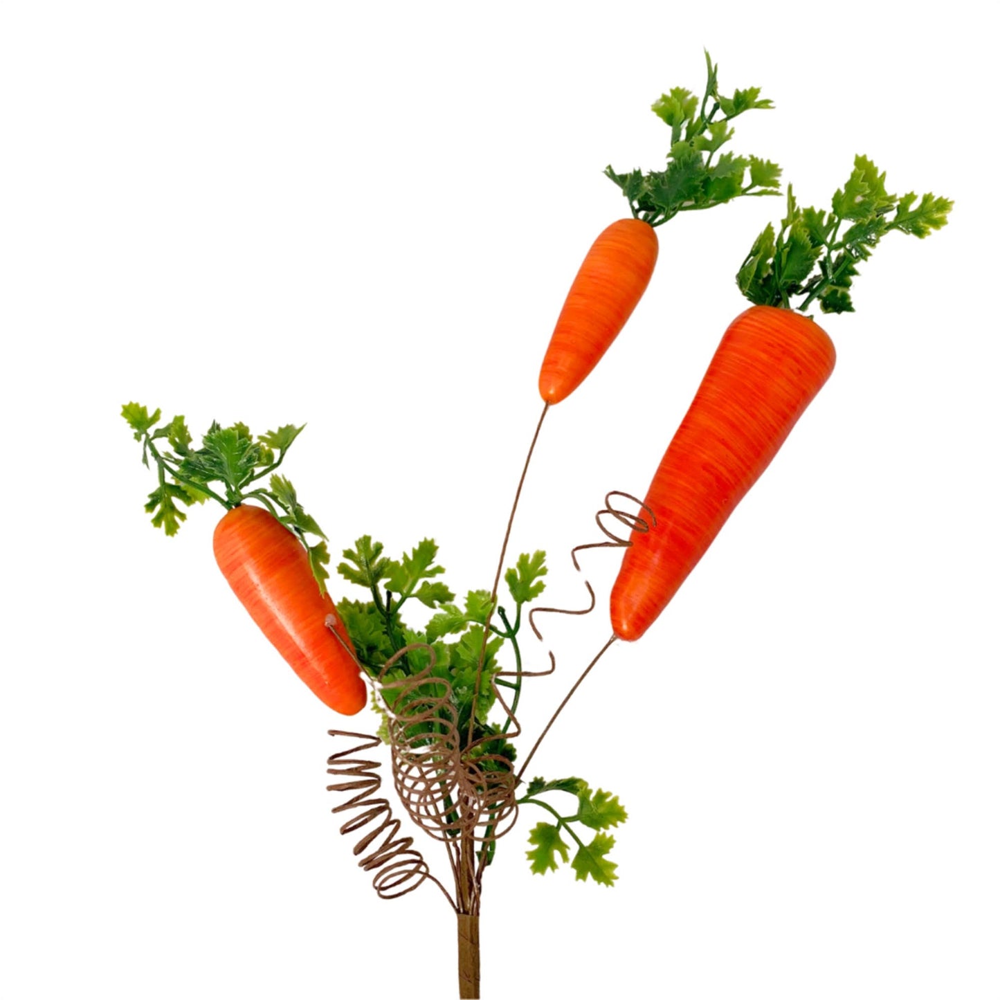 Eastern Sunrise Carrot Spray - Orange 17.5”
