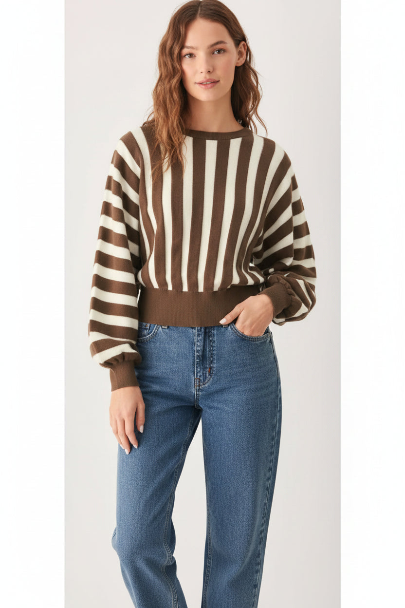 Brown Striped Sweater Knit Top