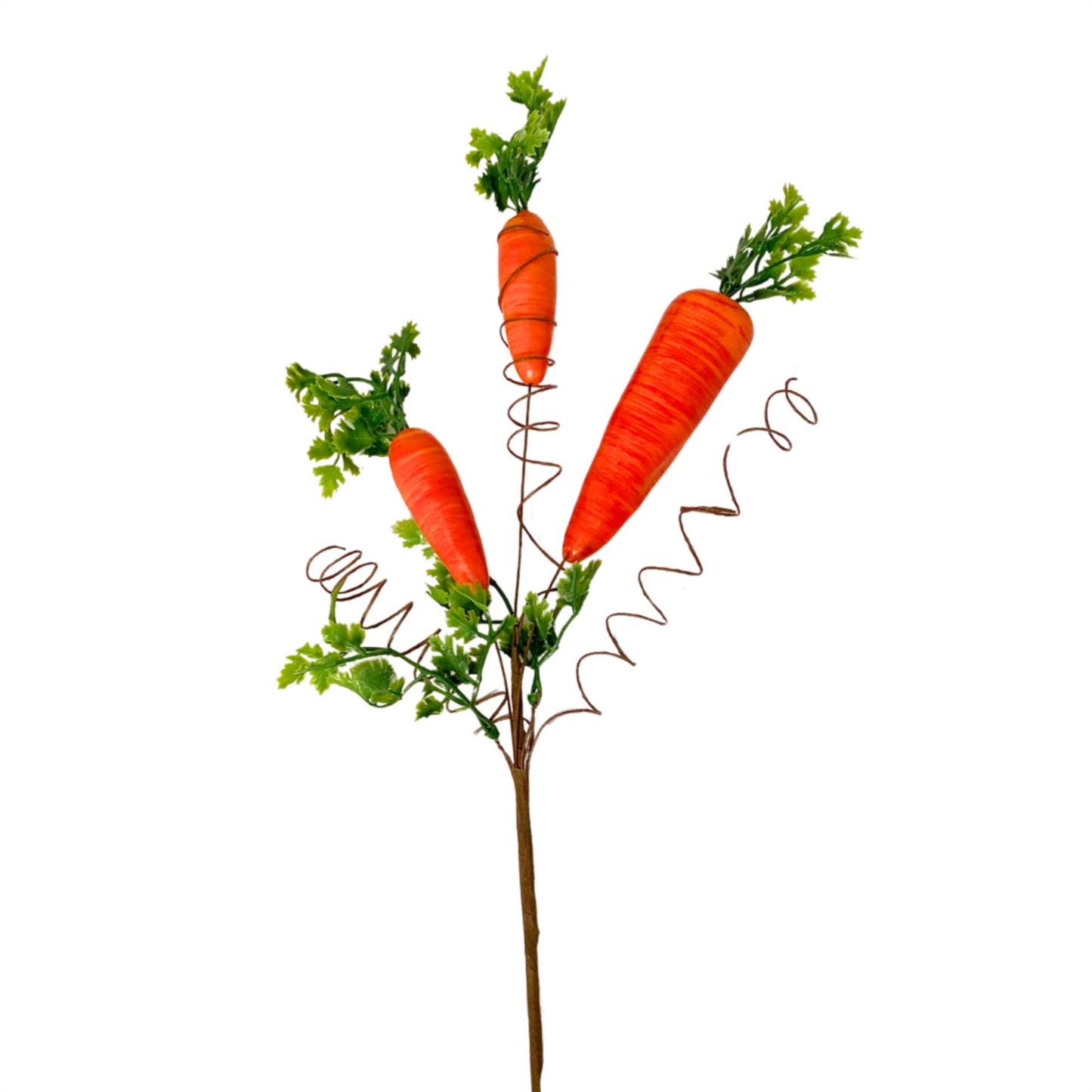 Eastern Sunrise Carrot Spray - Orange 17.5”
