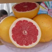 Ruby Red Grapefruit Tree (15 Gallon)