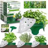 Rooted Promise 4 Herb Garden Kit