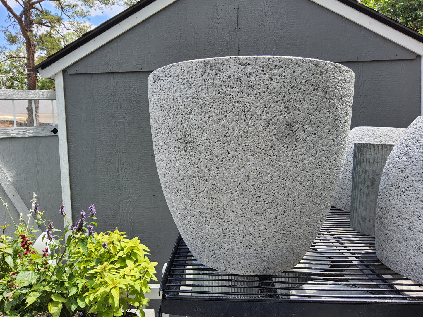 Flower Pot Round Cement Medium