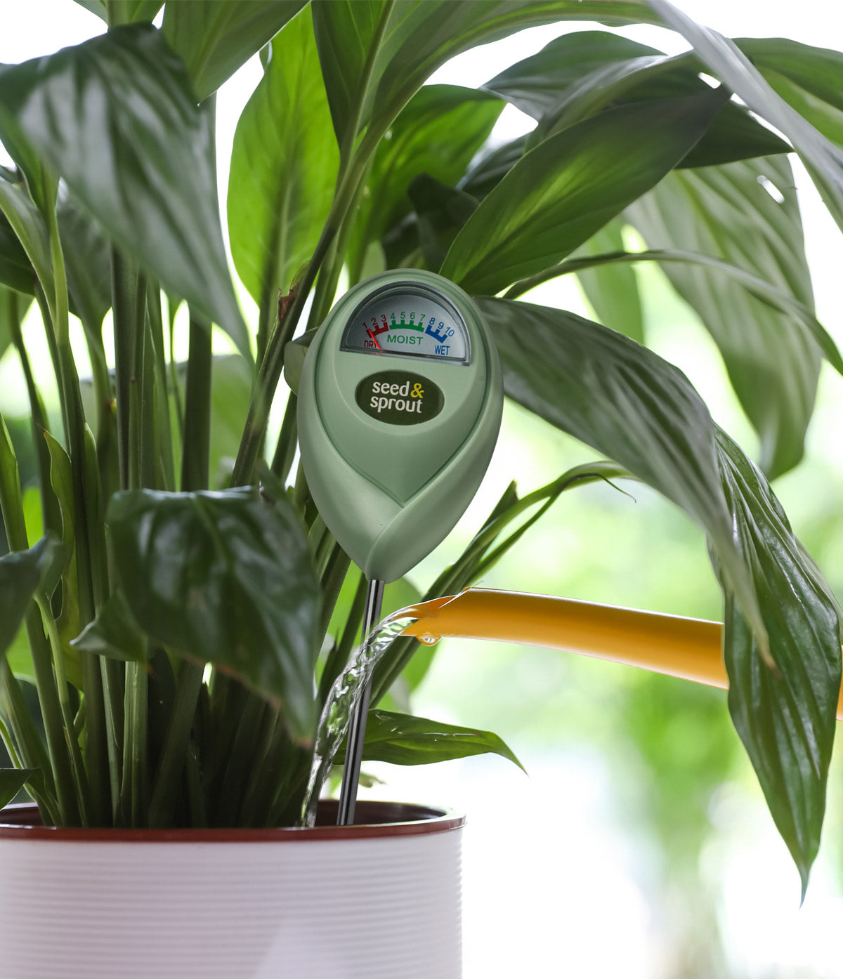 Happy Hydration Potted Plant Moisture Meter