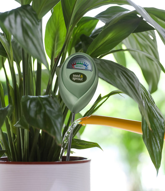 Happy Hydration Potted Plant Moisture Meter